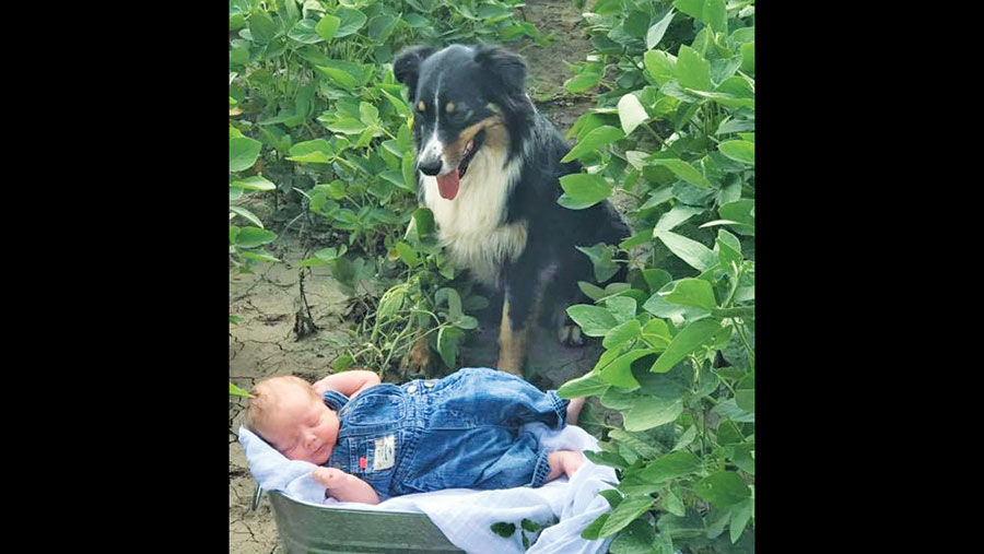 Submitted by Andrea Honsey Heesch